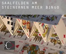 Saalfelden am Steinernen Meer  bingo