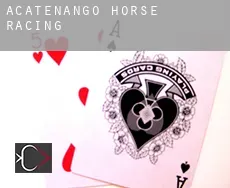 Acatenango  horse racing