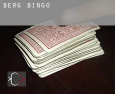 Berg  bingo