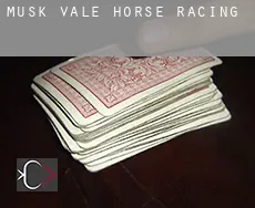 Musk Vale horse racing
