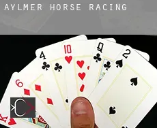 Aylmer  horse racing