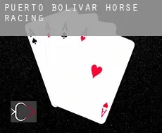 Puerto Bolivar  horse racing