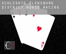 Schleswig-Flensburg District  horse racing