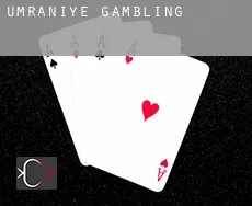 Umraniye  gambling