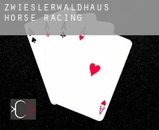 Zwieslerwaldhaus  horse racing