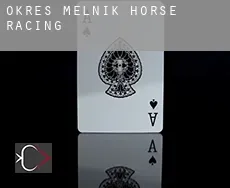 Okres Melnik  horse racing