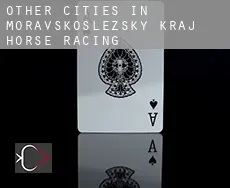 Other cities in Moravskoslezsky kraj  horse racing