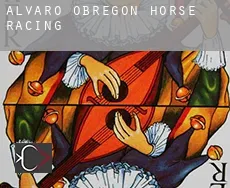 Alvaro Obregón  horse racing