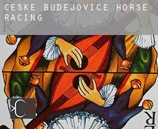 Budweis  horse racing