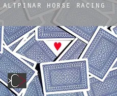 Altpınar  horse racing