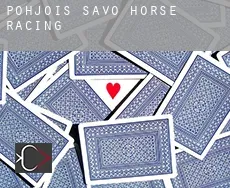 Pohjois-Savo  horse racing