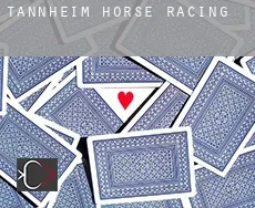 Tannheim  horse racing