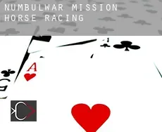 Numbulwar Mission  horse racing