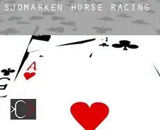 Sjömarken horse racing