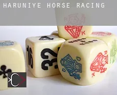 Haruniye horse racing