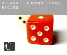 Ödeshögs Kommun  horse racing