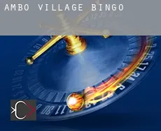 Ambo Village  bingo