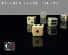 Palpalá  horse racing