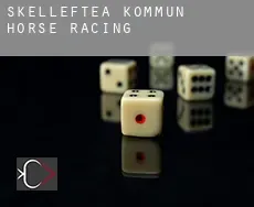 Skellefteå Kommun  horse racing