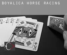 Boyalıca  horse racing