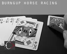 Burngup  horse racing