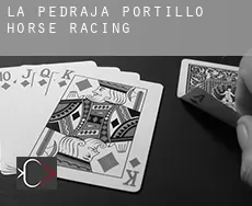 La Pedraja de Portillo  horse racing