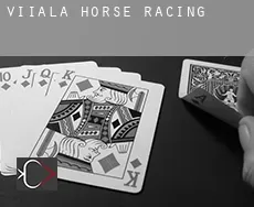 Viiala  horse racing