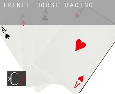 Departamento de Trenel horse racing