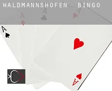Waldmannshofen bingo