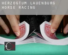 Herzogtum Lauenburg District  horse racing