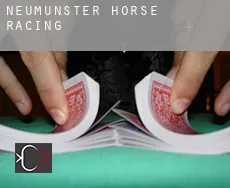 Neumünster Stadt  horse racing