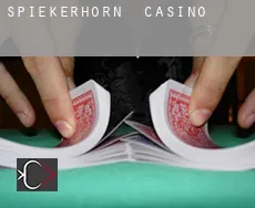 Spiekerhörn  casino
