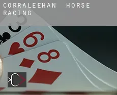 Corraleehan horse racing