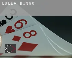 Luleå  bingo