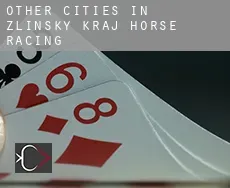 Other cities in Zlinsky kraj  horse racing