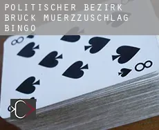 Politischer Bezirk Bruck-Muerzzuschlag  bingo