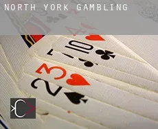 North York  gambling