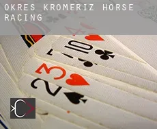 Okres Kromeriz  horse racing