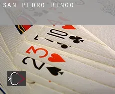 San Pedro bingo