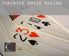 Taminick horse racing