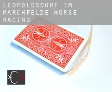 Leopoldsdorf im Marchfelde  horse racing