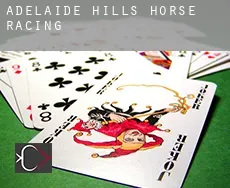 Adelaide Hills  horse racing