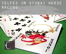 Telfes im Stubai  horse racing