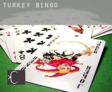 Turkey  bingo