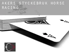 Åkers Styckebruk  horse racing