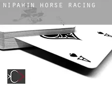 Nipawin  horse racing