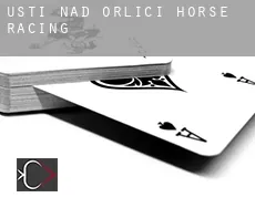 Ústí nad Orlicí  horse racing