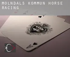 Mölndals Kommun  horse racing