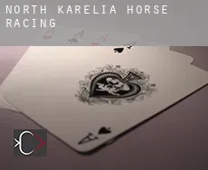 North Karelia  horse racing