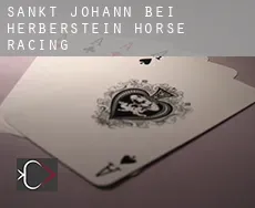 Sankt Johann bei Herberstein horse racing